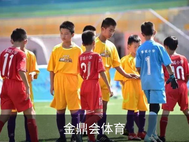 了解金鼎会体育